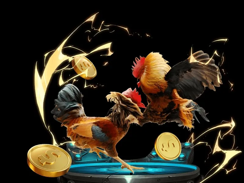 Hai con gà đang đá nhau trên sàn đấu của trò chơi Đá Gà hay88